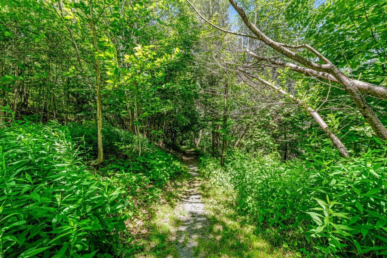 Skyleaf Retreat Sugar Mountain Exterior foto